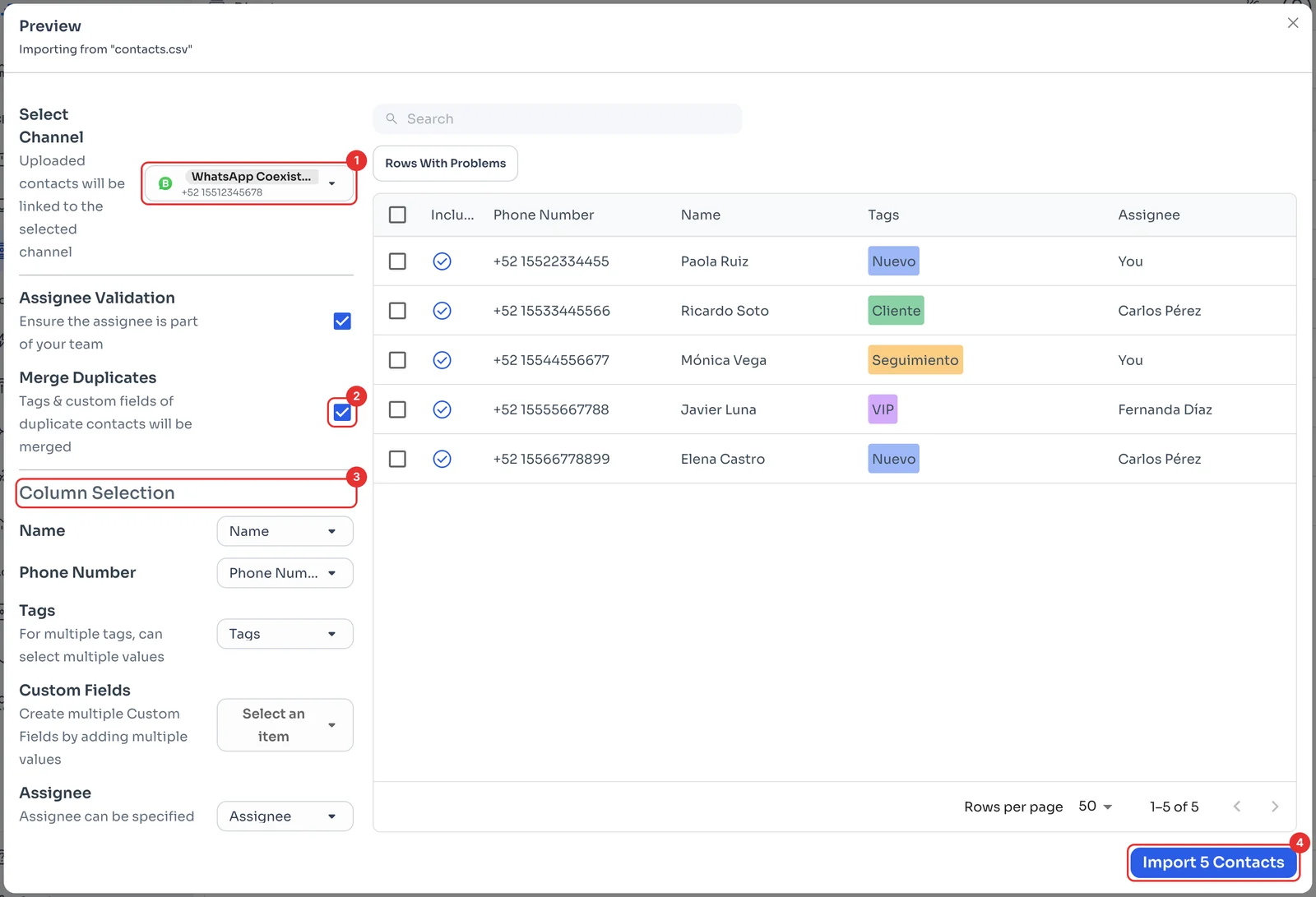 Preview with channel, Merge Duplicates, column selection and the Import Contacts button