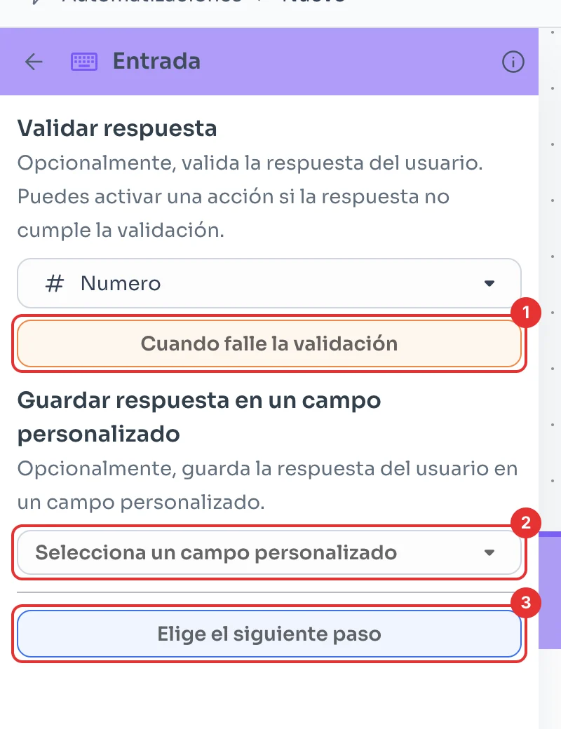 Panel Entrada con Cuando falle la validación, el campo personalizado y Elige el siguiente paso