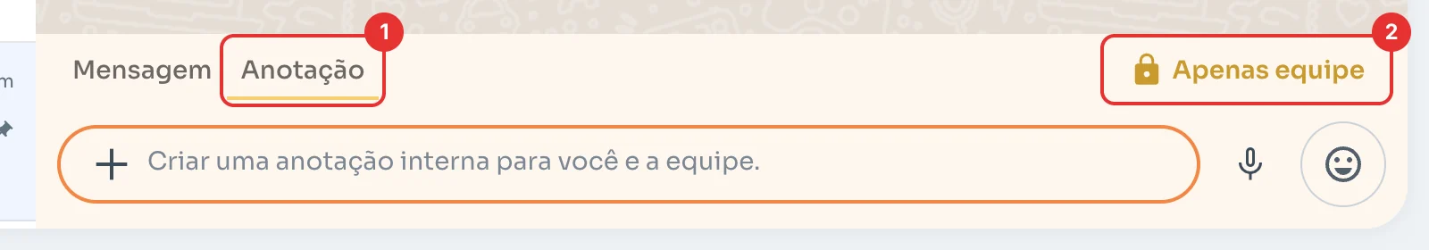 Aba Anotação selecionada com o aviso Apenas equipe