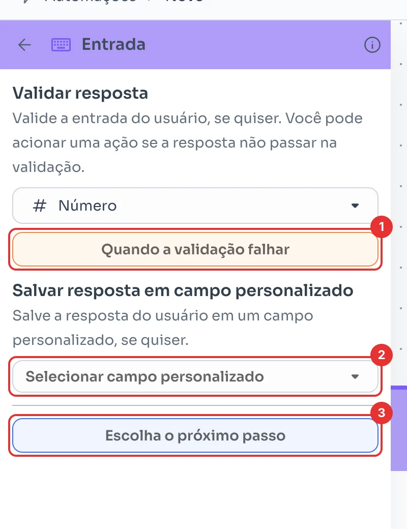Painel Entrada com Quando a validação falhar, o campo personalizado e Escolha o próximo passo